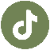 tiktok icon