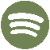 tiktok icon